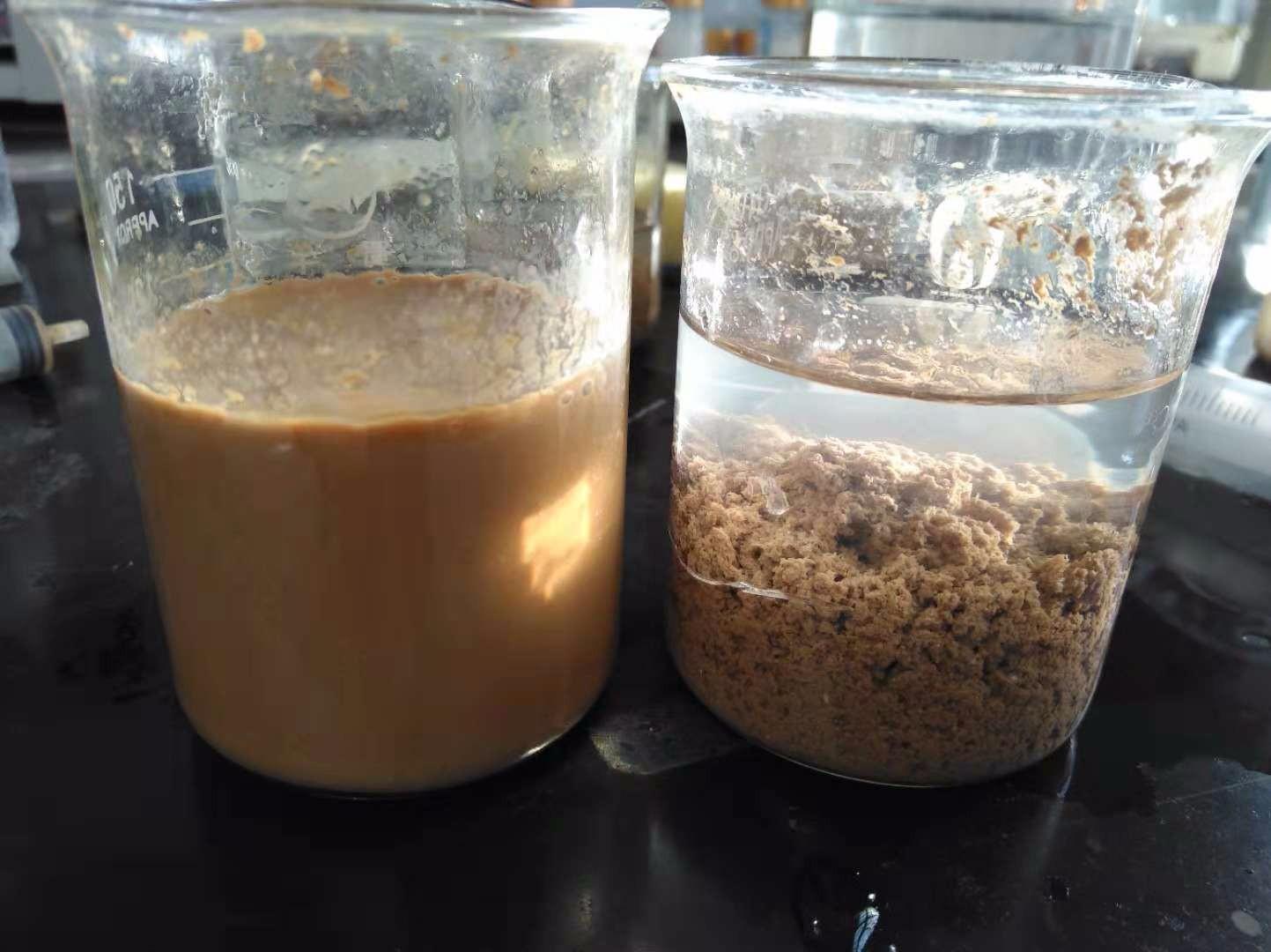 <a href='http://m.suzhanjd.cn/jsyj/992.html' target='_blank'><u>���x�Ӿ۱�ϩ�������a(ch��n)�S��</u></a>