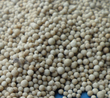 ϡ����ɰ<a href='http://m.suzhanjd.cn/jsll/' target='_blank'><u>�V�����a(ch��n)�S��</u></a>